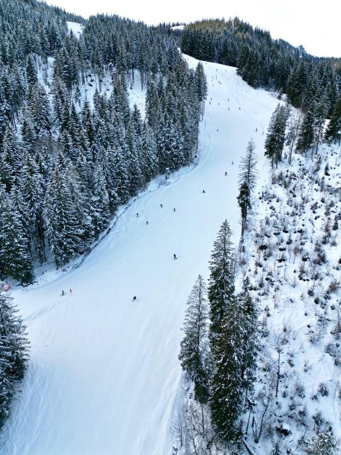 Alpenoase Schliersee - Grosse Suite Mit Sauna Oder Gemuetliche Studio Appartements Εξωτερικό φωτογραφία