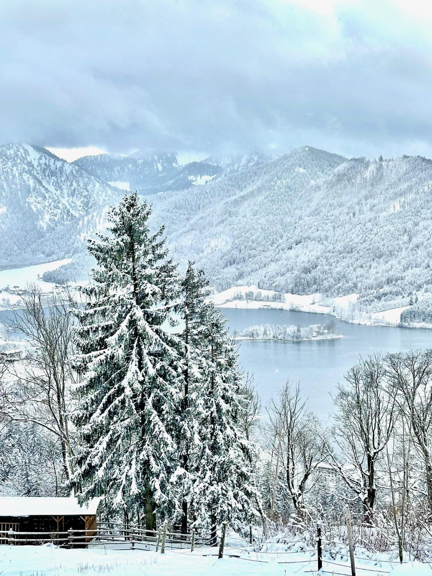 Alpenoase Schliersee - Grosse Suite Mit Sauna Oder Gemuetliche Studio Appartements Εξωτερικό φωτογραφία